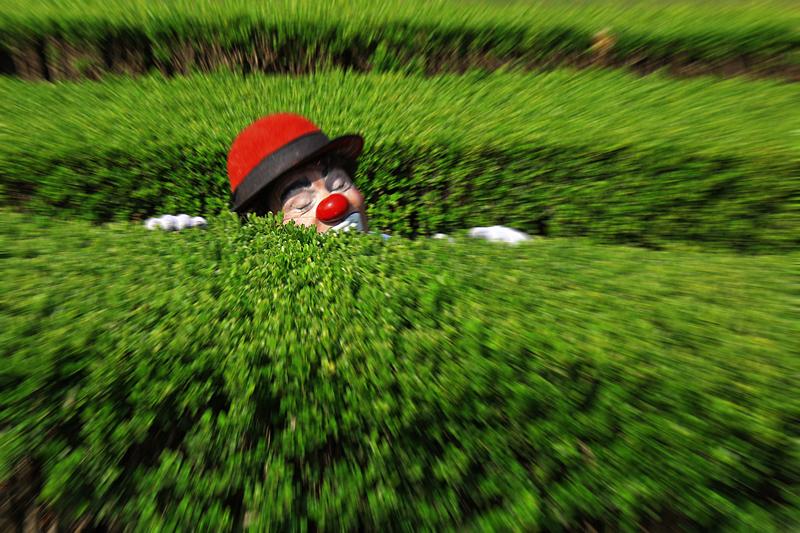 Descobrindo o seu Palhaço